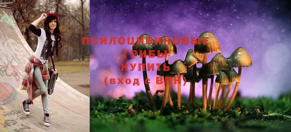 ешки Волоколамск