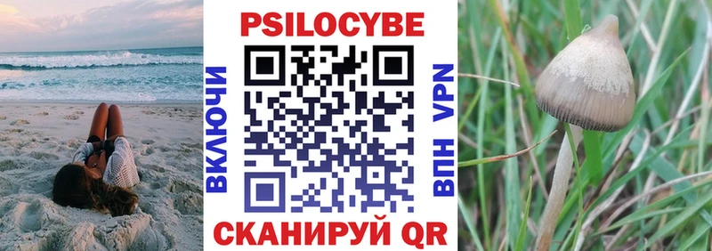Галлюциногенные грибы Psilocybine cubensis  Кизилюрт 